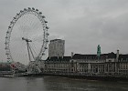 DCS 2772  The 'London Eye' at County Hall on the River Thames