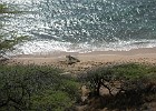 DSC 8069  Beach on the east side of O'ahu.