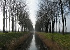 Winterwandeling in de polders