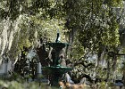DSC 3537  Savannah's Historic District.