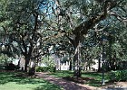 DSC 3540  Savannah's Historic District.
