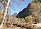 Fall in Yosemite