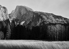 3:07pm; Nov 28, 2009.  Half Dome and Aspen Trees, Ahwahnee Meadow.