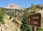 Lassen and Shasta Bally