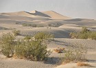 May 28, 2011  Sand Dunes at Stovepipe Wells.