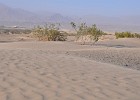 May 28, 2011  Sand Dunes at Stovepipe Wells.