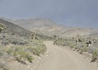 May 29, 2011  Saline Valley Road.