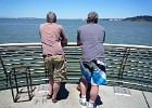 June 9, 2012  You think I could get them to turn around? Pier 14, San Francisco.