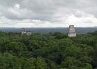 020  The ruins at Tikal. Any 'Star Wars' fans? These are featured in 'Star Wars VI: The Return of the Jedi'.
