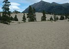 DSC 0638  'The worlds' smallest desert' just outside Carcross.