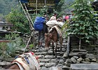 DSC 2662  Day 1: Share the path. Everything gets carried up to the the villages by donkeys or people.