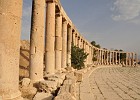 July 30th, 2010  Columns surrounding the Oval Plaza. Jerash.