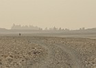 DSC 0167  First glimpse of the surreal landscape on the shores of Lac Abb�. It stayed hazy during our whole stay in Djibouti.