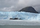 DSC 0047  The Skua Glacier.