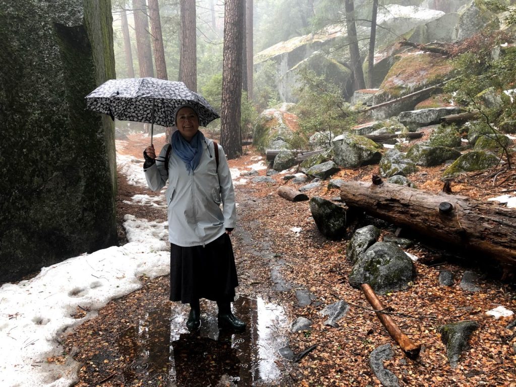 Yosemite in the Rain